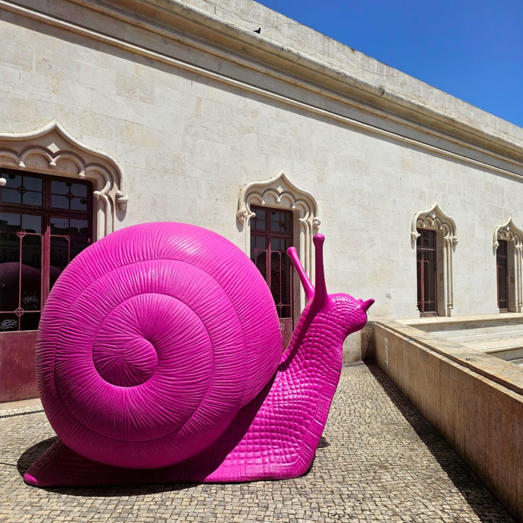 שבלול לגלריה